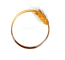 Crosta Pizzeria Tomtebo